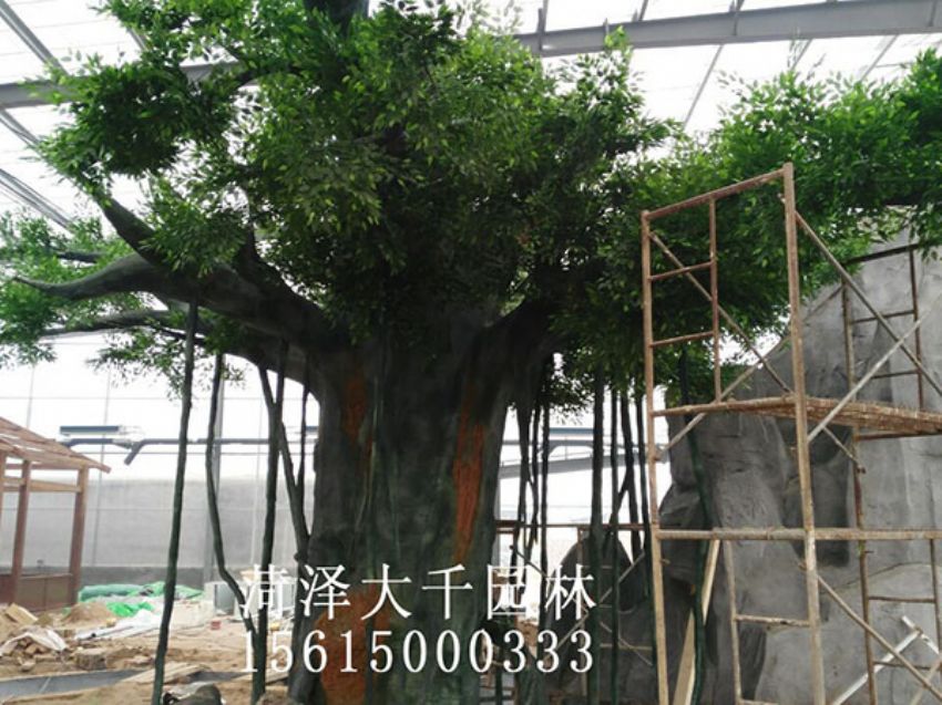 點擊查看詳細信息<br>標題：假樹 閱讀次數(shù)：1430