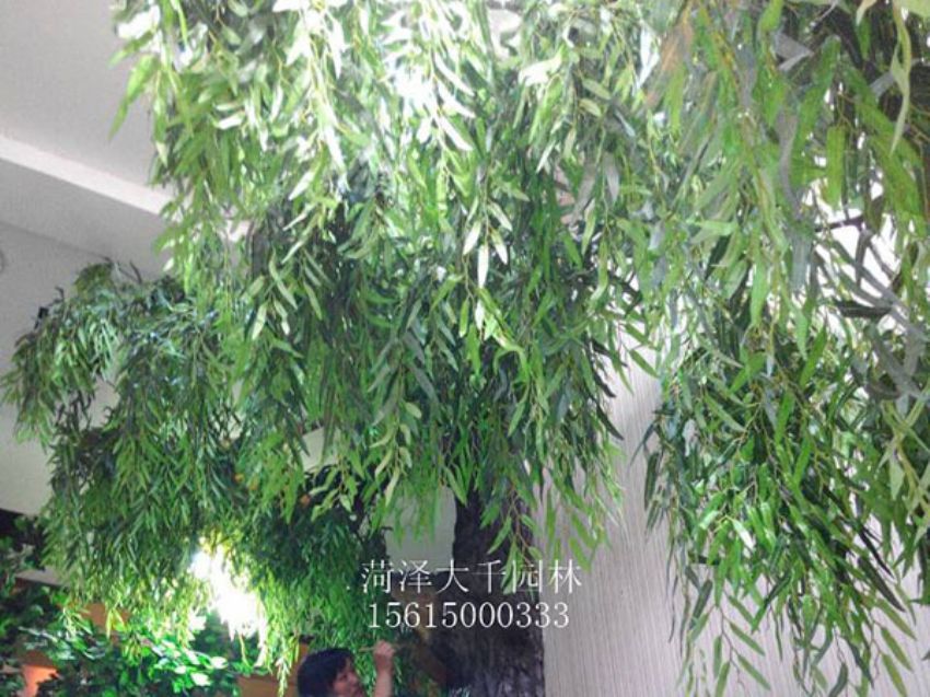 點擊查看詳細信息<br>標題：假樹 閱讀次數(shù)：1358
