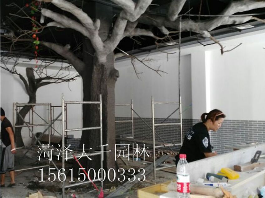 點擊查看詳細信息<br>標題：假樹 閱讀次數(shù)：1364