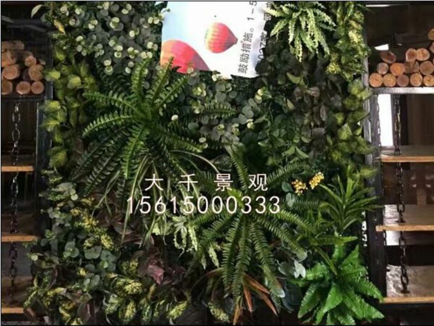 點(diǎn)擊查看詳細(xì)信息<br>標(biāo)題：綠植墻 閱讀次數(shù)：1393