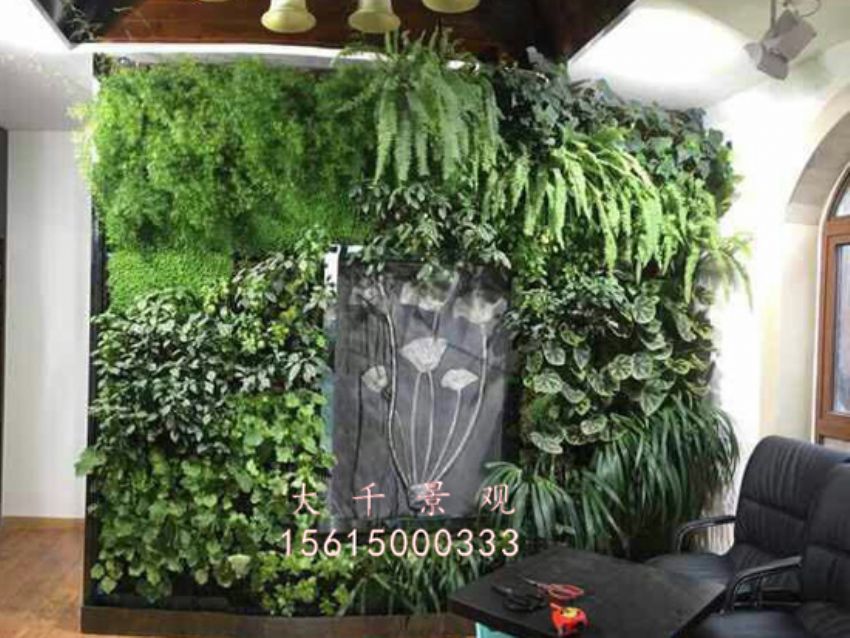 點(diǎn)擊查看詳細(xì)信息<br>標(biāo)題：綠植墻 閱讀次數(shù)：1743