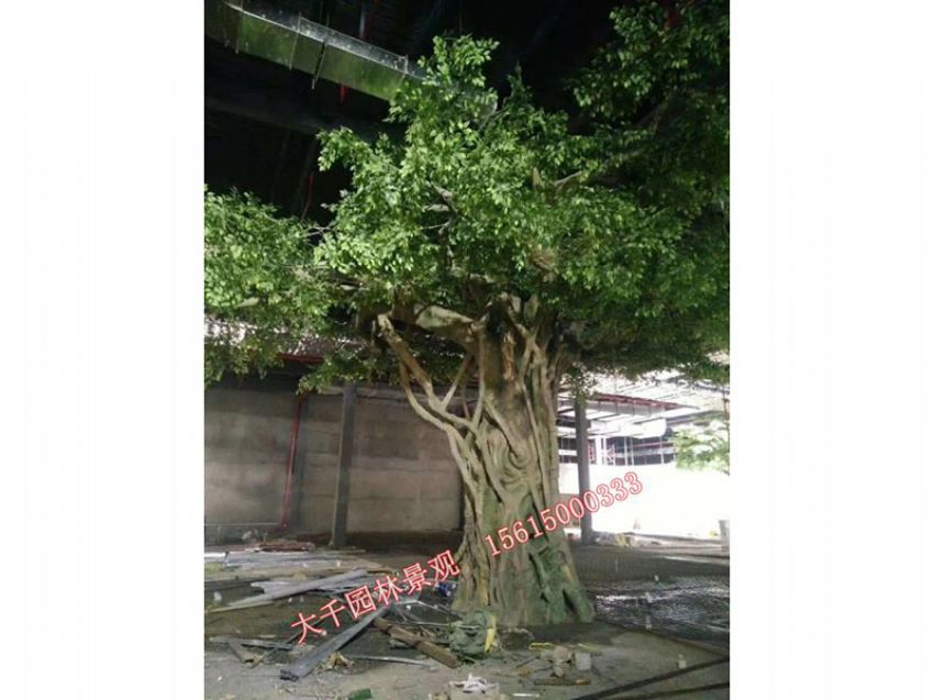 點(diǎn)擊查看詳細(xì)信息<br>標(biāo)題：假樹(shù) 閱讀次數(shù)：2392